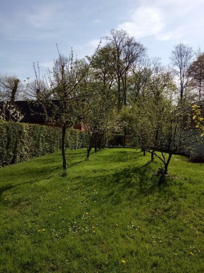 Gite Du Montagnard Oxelaere Экстерьер фото