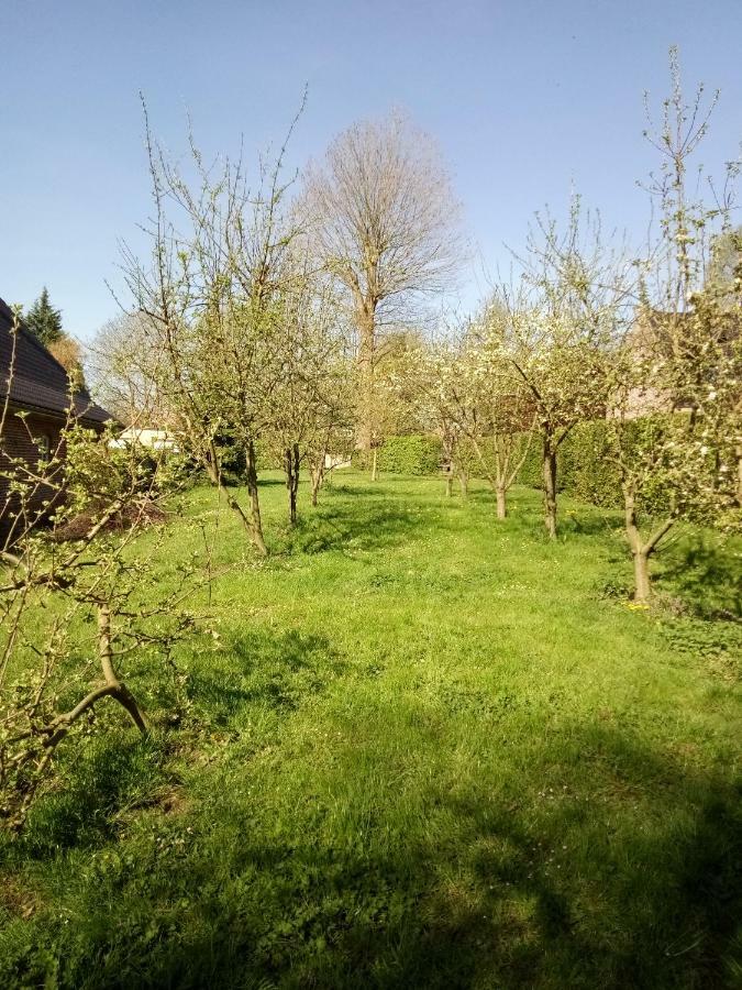 Gite Du Montagnard Oxelaere Экстерьер фото