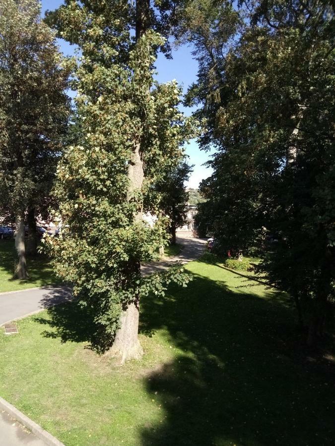 Gite Du Montagnard Oxelaere Экстерьер фото